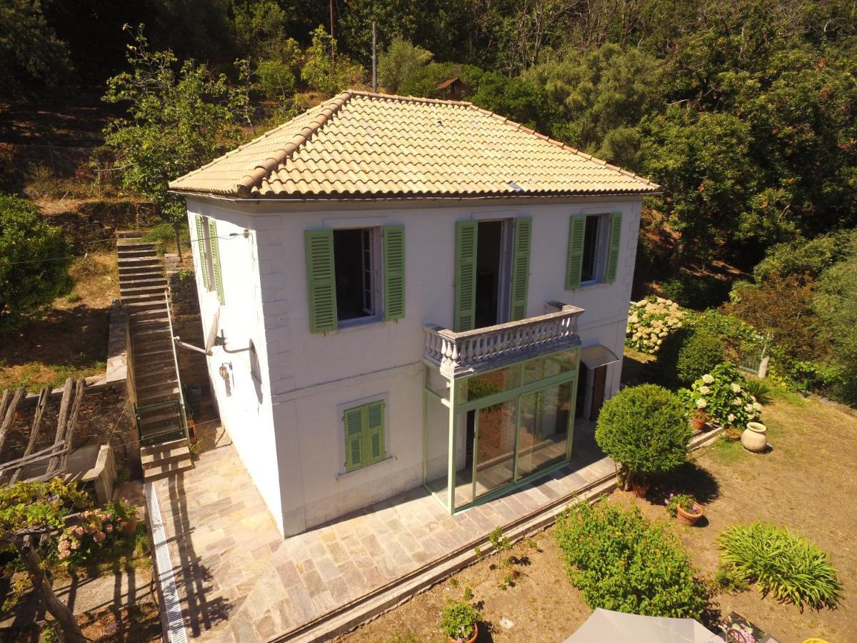 Aroma Green Villa Cagnano Esterno foto