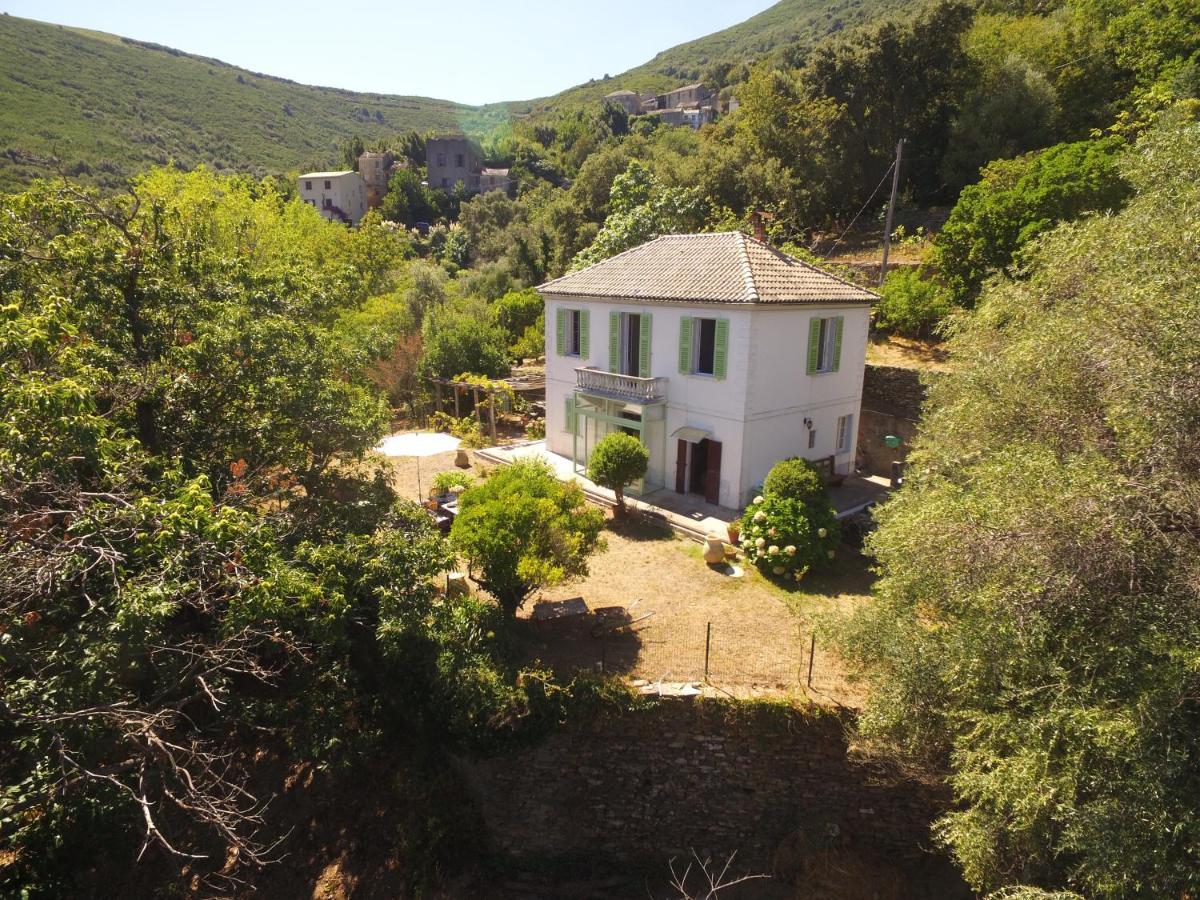 Aroma Green Villa Cagnano Esterno foto