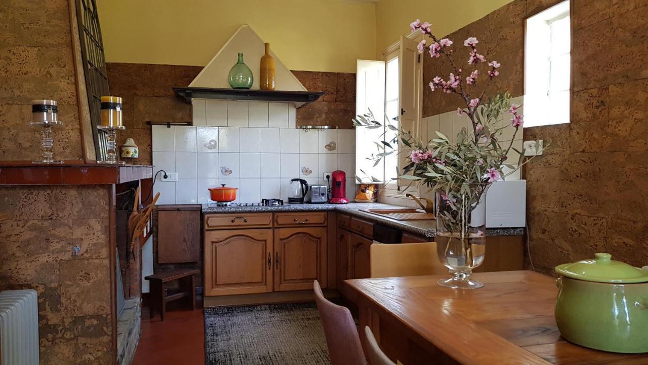 Aroma Green Villa Cagnano Esterno foto